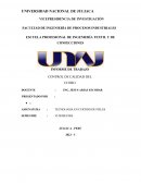 Informe de trabajo Control de calidad del cuero