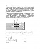 Equilibrio Donnan