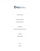 Gerencia financiera empresa Bombril S.A.