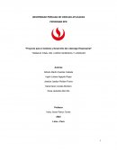 Proyecto para el Análisis y Desarrollo del Liderazgo Empresarial