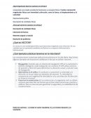 ¿Qué importancia tiene los vectores en la Física?