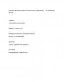 Ensayo: La cinematografía