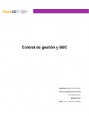 Control de gestión y BSC