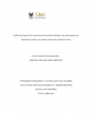 Análisis del impacto del Coronavirus en la Economía Colombiana