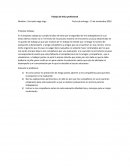 Trabajo de ética profesional.Empresa Cobaya