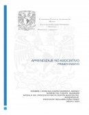 Conducta, habituación y sensibilización