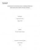 Opciones de plan estrategico para la editorial de revistas especializadas de viajes de aventura