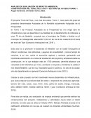 Análisis de evaluación de impacto ambiental- Tunel del Toyo
