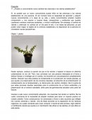 Objeto tok ¿Puede un conocimiento nuevo cambiar las creencias o los valores establecidos?