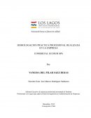 Homologación práctica profesional realizada en la empresa Comercial Ecosur SPA
