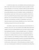 Protección de la capa de ozono