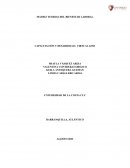 Matriz teorias del bienestar laboral