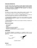 Fisiología aeronáutica