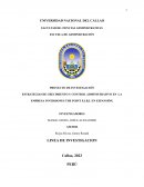 Estrategias de crecimiento y control administrativo en la empresa inversiones The Point E.I.R.L en expansión