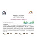 Descubriendo el mundo de los reptiles