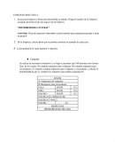 Trabajo práctico estadística