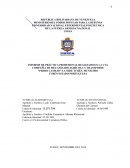 Informe de práctica profesional realizado en la cva compañía de mecanizado agrícola y transporte “Pedro Camejo” S.A