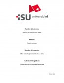 Diseño curricular de la UNAM (ejemplo)