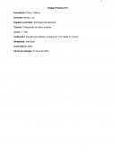 Profesorado de artes visuales