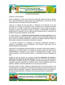 BPA croquis de plátano