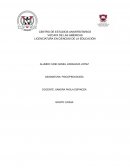 Informe psicopedagógico