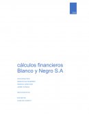 Caso: Blanco y Negro S.A.
