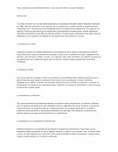 Explorando la Sensibilidad Táctil en "Los Ojos de la Piel" de Juhani Pallasmaa