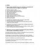Los juegos Olímpicos
