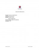 Consecuencias Sociales y Políticas de la Inflación