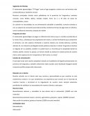 Modelo de negocios restaurante agroecológico “El Pogyo”