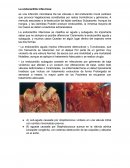 La endocarditis infecciosa