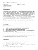 Proyecto: “Piedra libre al artista interior”