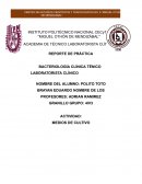 Reporte de práctica. Bacteriología clínica ténico laboratorista clínico