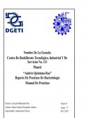 Reporte de prácticas de microbiología