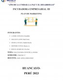 Plan de marketing. Galletas para combatir la anemia