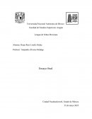 Ensayo Identidad Sorda