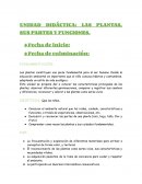 Unidad didáctica: Las plantas, sus partes y funciones