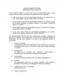 Acta constitutiva “Innovatech Solutions S.A”