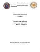 Actividad 1.3 Comportamiento Organizacional