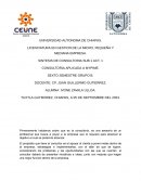 Consultoria aplicada a MYPIME