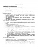 Apunte sobre estafilococos