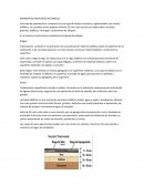 Pavimentos asfálticos (flexibles)