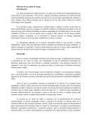 Historia de las armas de fuego