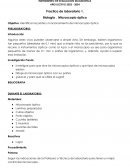 Practica de laboratorio 1. Biología Microscopio óptico