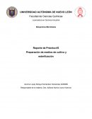 Bioquímica Microbiana Reporte de Práctica #3