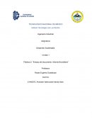 Ensayo del documento Informe Brundtland