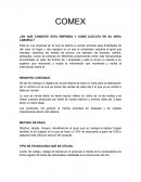 La importancia de la ética profesional en las organizaciones