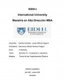 Teoría de las Organizaciones Efectiva