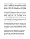 Externalidad positiva