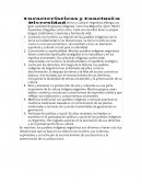 La idiosincrasia en los pueblos Indígenas Argentinos